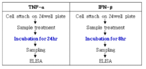 PGA의 TNF-α, IFN-β 면역활성 측정 시험법