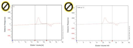 Lab Scale 과 scale up한 조건의 GPC Diagram