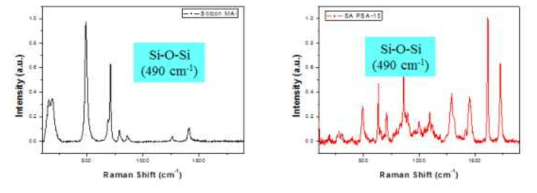 실리콘 MAI와 Silicon MAI로 합성된 점착제의 라만 분광분석 결과