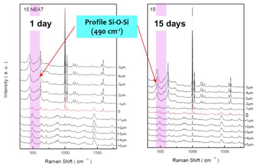 실리콘 기재에 1일 그리고 15일 동안 양생된 점착제의 라만 분광분석 결과