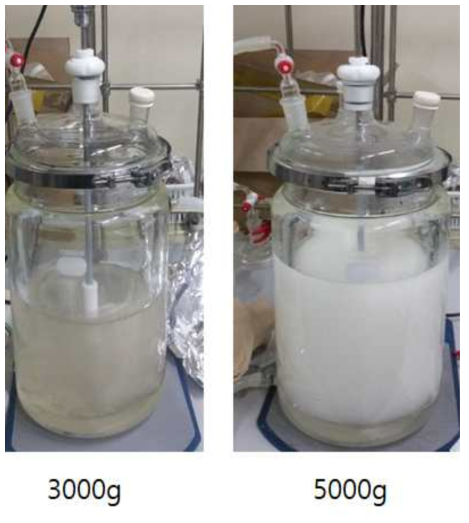 스케일 업 합성 (3000 g, 5000 g 스케일)