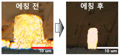 구리 미세 배선의 Etching 전/후 OM 단면 사진