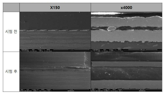 신뢰성 시험 전 후 단면 관찰(SEM)