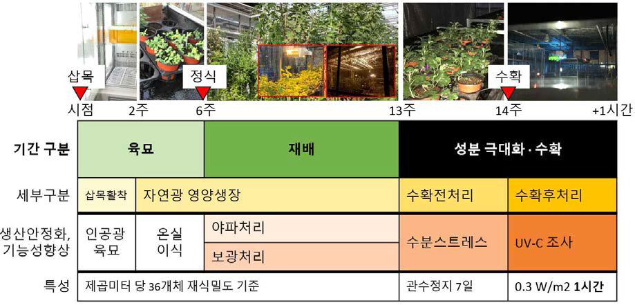 온실 주년생산을 위한 재배 및 환경처리 방법 도식