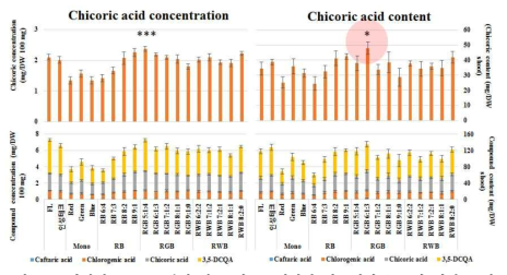 다양한 LED 조건에 따른 이고들빼기의 치코릭산 농도와 함량 그리고 phenylpropanoids 물질의 농도와 함량