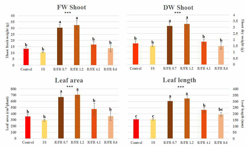 다양한 R/FR 비율 조건에 따른 이고들빼기 지상부의 생체중, 건물중, 엽면적, 엽장