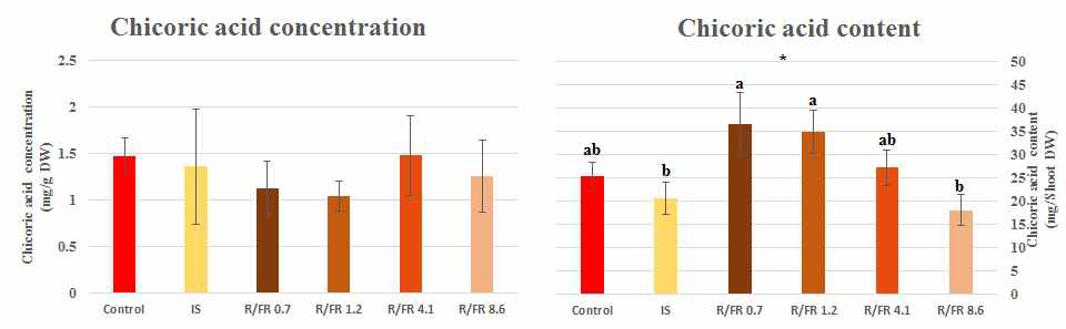 다양한 R/FR 비율 조건에 따른 이고들빼기의 치코릭산 농도와 함량