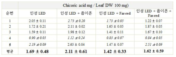 재배 시스템 군 별 치코릭산 함량 분석 결과