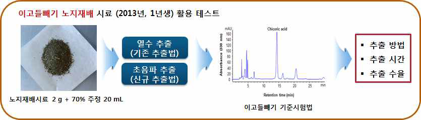 이고들빼기 기존-신규 추출법에 따른 분석법