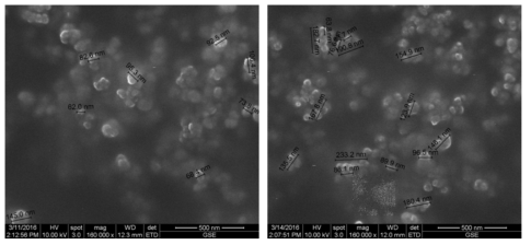 나노실리콘의 SEM 분석 결과: (왼쪽) 105nm, (오른쪽) 150nm