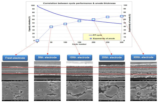 풀셀의 각 50회 수명 구간별 음극의 단면 SEM 분석 결과