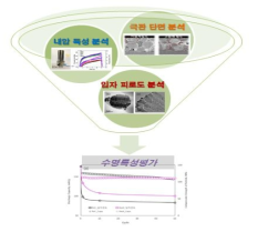 극판 분석 및 이에 따른 전기화학 특성 해석 모식도