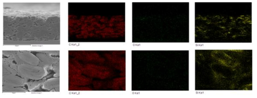 음극 단면 SEM images, EDX images