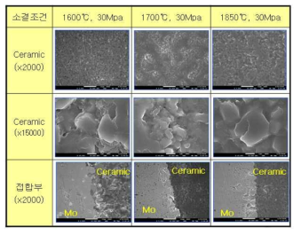 소결 온도에 따른 SEM 분석 사진
