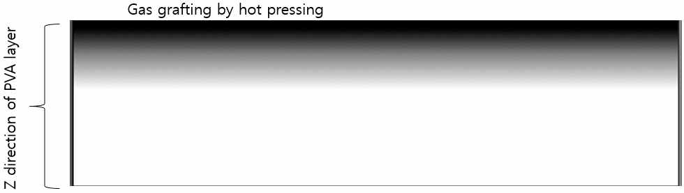 Hotpressing을 이용한 가압조건에서의 기상 그라프트 처리 반응 예상 모식도