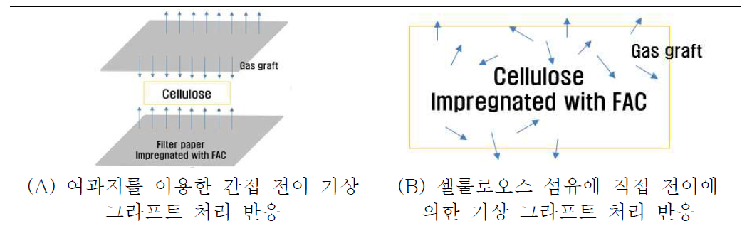 플러핑 셀룰로오스 섬유의 기상 그라프트 반응 모식도.