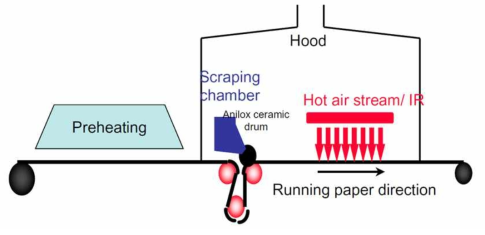 Off line reagent deposition and chromatogenic chemistry using flexography technology