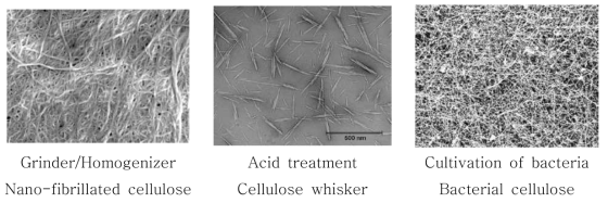 제조 방법에 따른 나노셀룰로오스 현미경 관찰사진