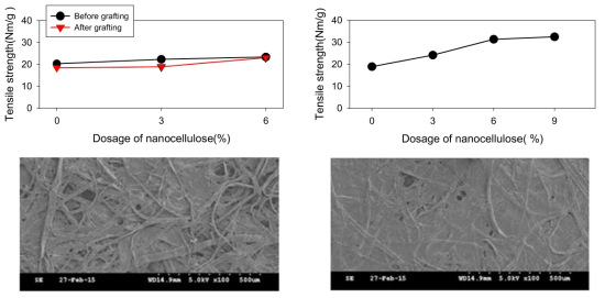 나노셀룰로오스 내·외첨 적용에 따른 인장강도 및 표면 SEM 이미지