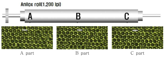Anilox roll cell의 현미경 이미지(× 1,000)