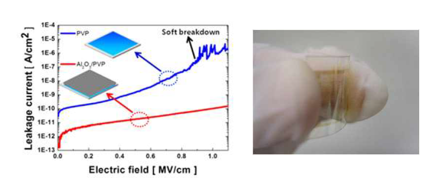 PVP 게이트 절연체 및 Al2O3/PVP 게이트 절연체의 누설전류 특성 비교 그래프 및 플라스틱 위에 제작된 MIM(Metal/Insulator/Metal) 소자