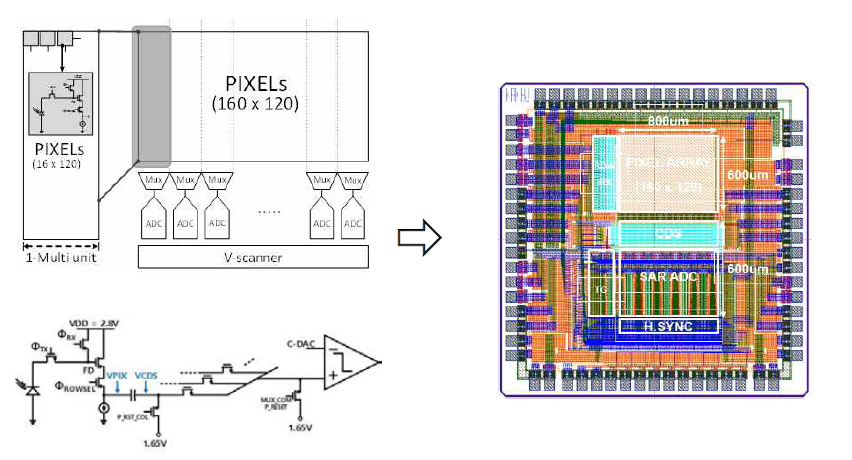 (좌)Schematic design, (우)CIS prototype 제작(layout)