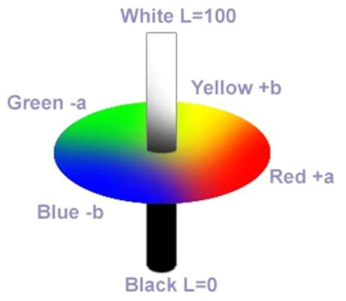 CIE L*a*b*색좌표