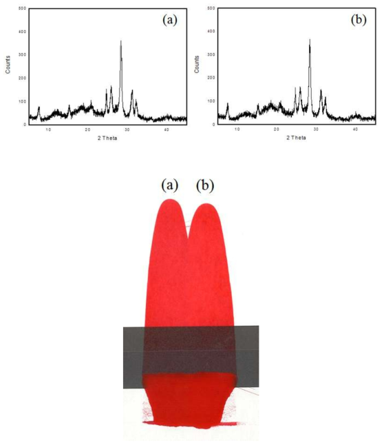 용매조건 실험에 따른 안료 물성 (a) 254S-1 and (b) 254S-4.