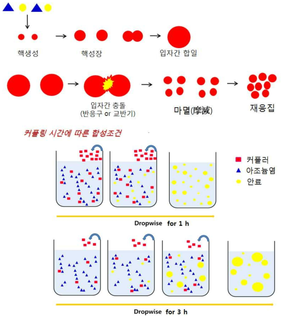 안료 입자 생성 메커니즘과 거플링 시간에 따른 안료 형성 모식도.