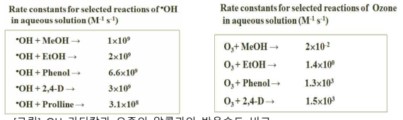 OH 라디칼과 오존의 알콜과의 반응속도 비교