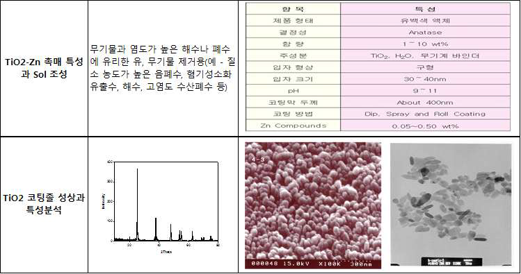 TiO2-Zn 촉매의 Sol 조성과 코팅볼 SEM, TEM 분석