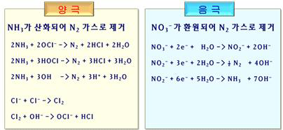 N-AOP 장치의 무기물질(T-N) 제거 메카니즘