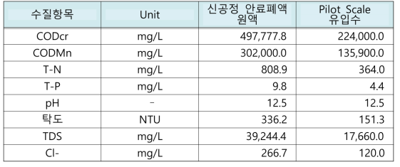 신공정 안료 폐액 원액과 Pilot Scale Test 유입수 성상