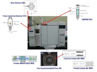 GC-MS를 이용한 소재의 유해물질 분석