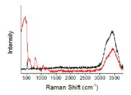 in-situ 라만 분석 셀 내 액체의 라만 스펙트럼
