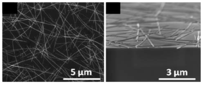 Ag NW의 Top view와 35° 기울어졌을 때의 SEM 사진 Nanotechnology 24 (2013) 125202 (8pp)