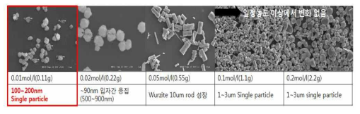 Zinc acetate dehydrate 투입량에 따른 입자형상 측정 FE-SEM 이미지