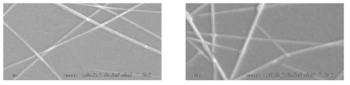 Welding되지 않는 Silver nanowire SEM 이미지