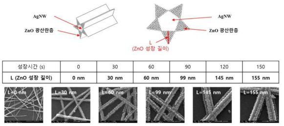 AgNW에 성장 시간에 따른 ZnO 성장