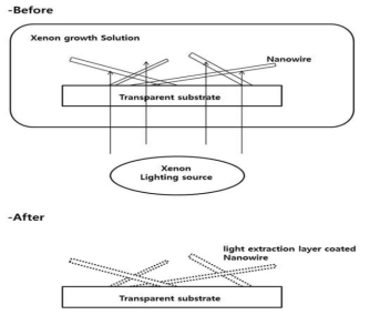 제논광을 이용한 광추출 코팅의 모식도 이미지