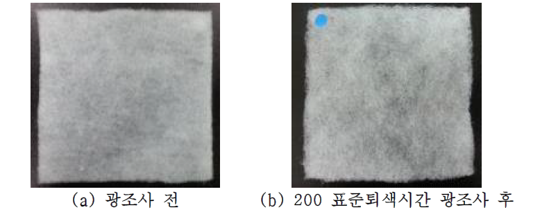 광조사에 의한 시료 형태변화 관찰