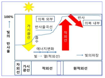 광발열 메커니즘