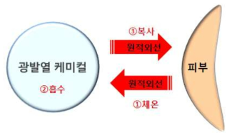 착용평가 2의 기능 모식도