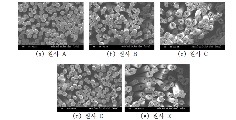 Ball fiber용 원사의 SEM 이미지