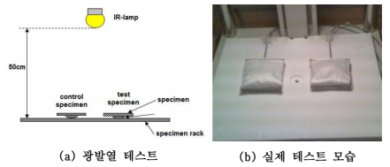 광발열 테스트 방법(Pouch법)