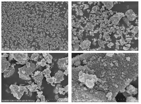 벤텍스 광발열 powder SEM 사진을 통한 입도 분석 결과