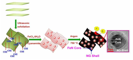 질화 철/질소 도핑된 그래핀(FeN/NG) 나노하이브리드 제조 공정.