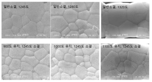 소결 조건에 따른 미세구조