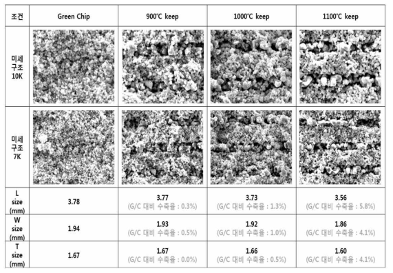 열처리 조건에 따른 그린 칩 미세구조 사진