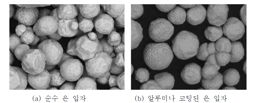 알루미나 코팅 전후의 입자 형상 SEM 이미지